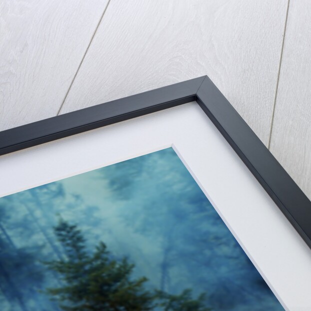 Forest Fire Blazing by Anonymous