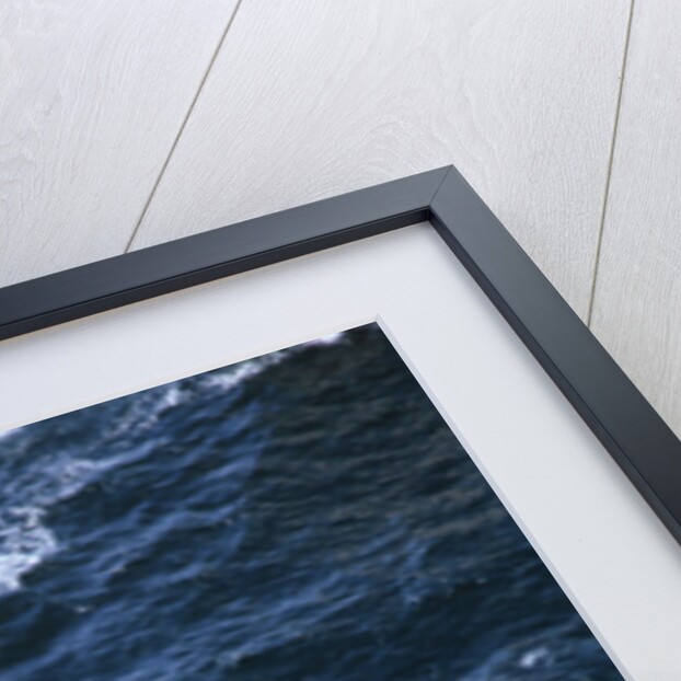 Australia 11 Sailing in America's Cup by Anonymous