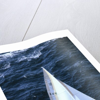 Australia 11 Sailing in America's Cup by Anonymous