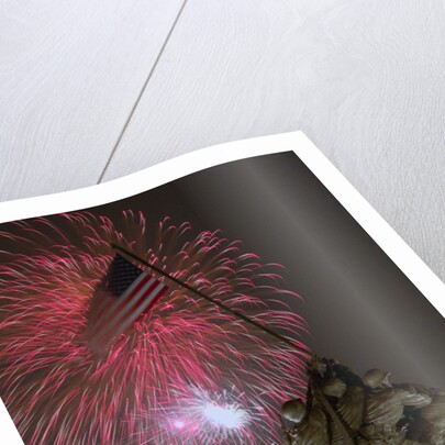 Fireworks Exploding Over Memorial by Anonymous