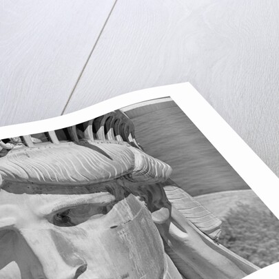 Detail of the Face of Statue of Liberty by Anonymous