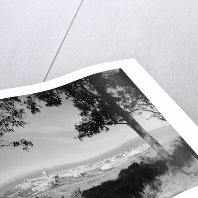 Distant View of San Francisco Through Tree Line by Anonymous