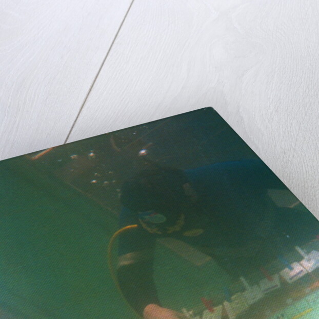 Divers Playing Monopoly Underwater by Anonymous