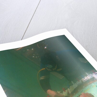 Divers Playing Monopoly Underwater by Anonymous