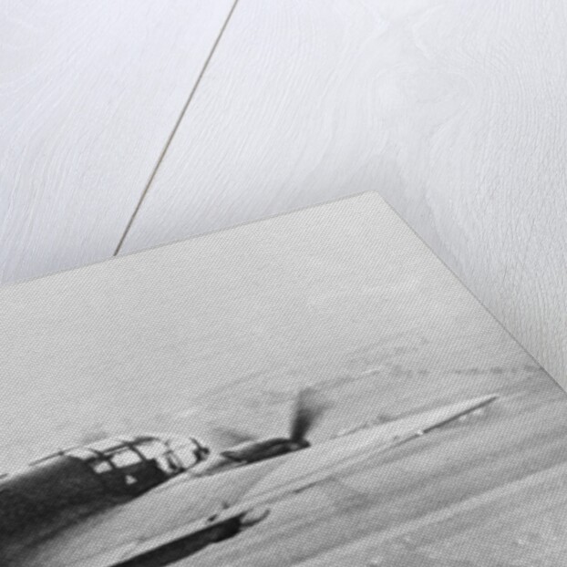 German Plane in Flight by Anonymous