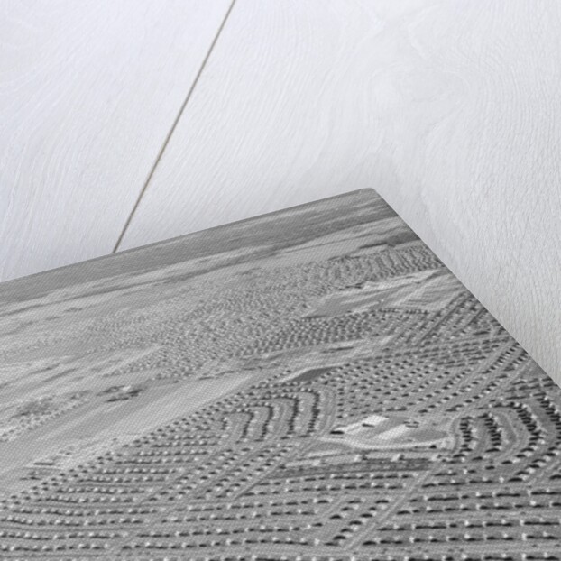 New York Suburb of Levittown by Anonymous