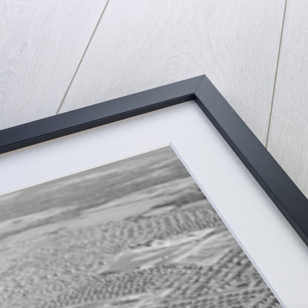 New York Suburb of Levittown by Anonymous