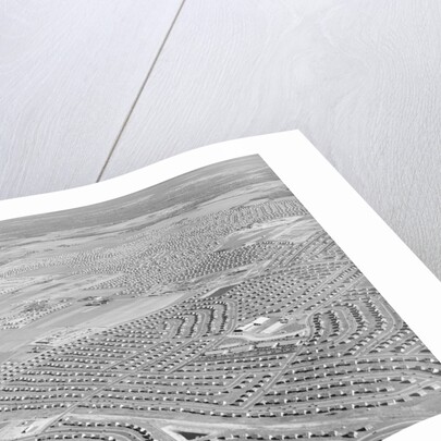 New York Suburb of Levittown by Anonymous