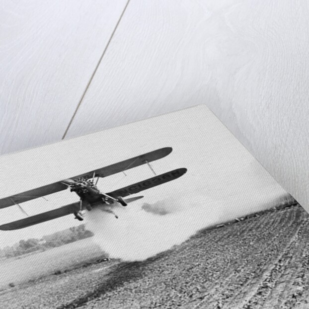 Bi-Plane Dusting Field with Pesticides by Anonymous