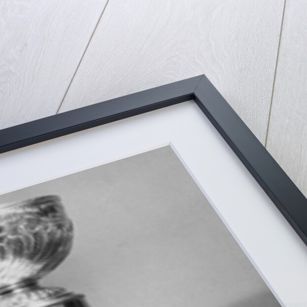 Stanley Cup by Anonymous