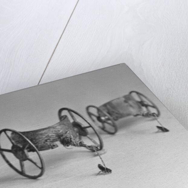 Flea Pulling Miniature Chariot by Anonymous