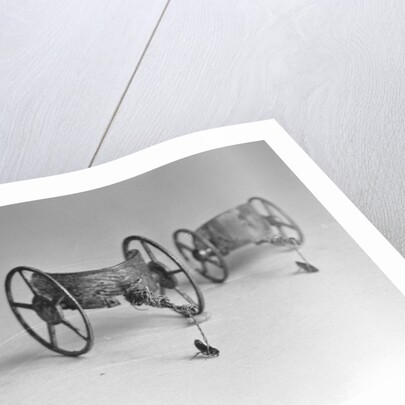Flea Pulling Miniature Chariot by Anonymous