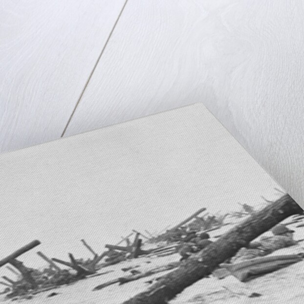 Invaders on Omaha Beach by Anonymous