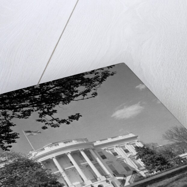 Exterior View of the White House by Anonymous