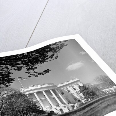 Exterior View of the White House by Anonymous
