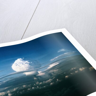 Mushroom Cloud from Nuclear Testing by Anonymous