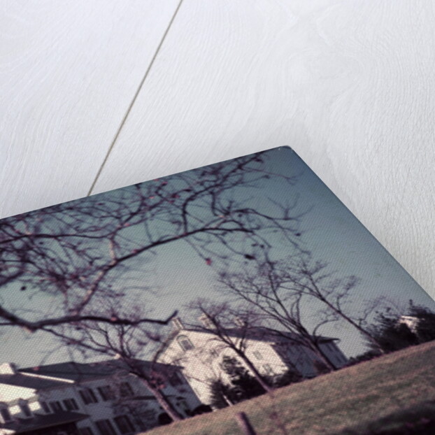 President Dwight D. Eisenhower by Anonymous