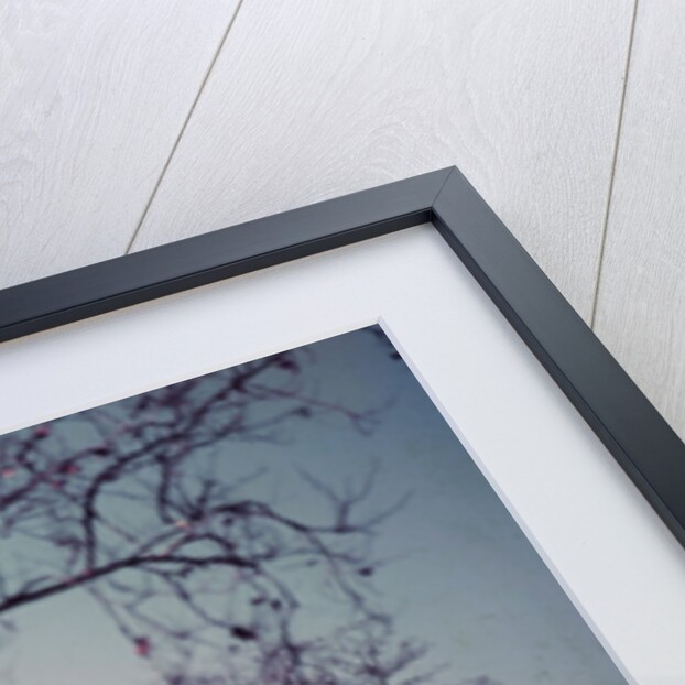 President Dwight D. Eisenhower by Anonymous