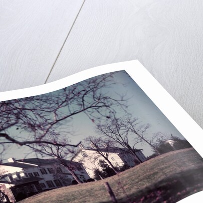 President Dwight D. Eisenhower by Anonymous