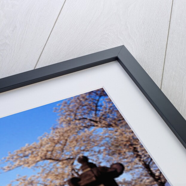 Jefferson Memorial from across the Lake by Anonymous