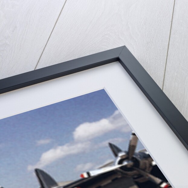 Columbine III Airplane by Anonymous