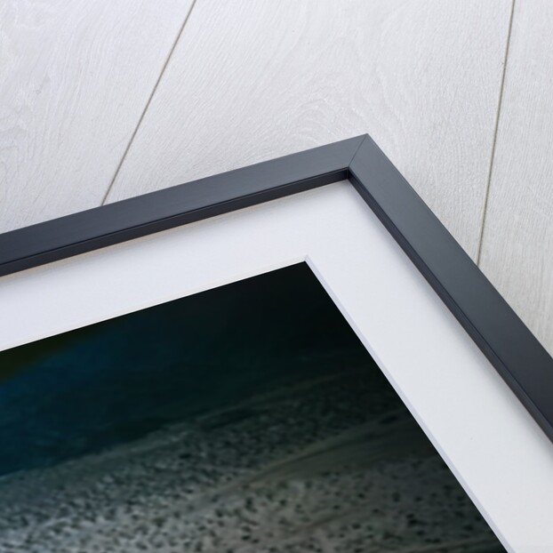 Aerial view of Palm Springs Hotel by Anonymous