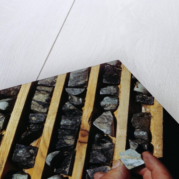 Container of Mineral Deposits Being Examined by Anonymous