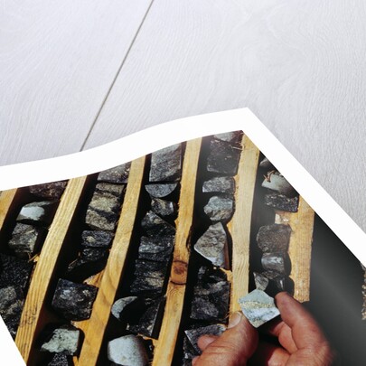 Container of Mineral Deposits Being Examined by Anonymous
