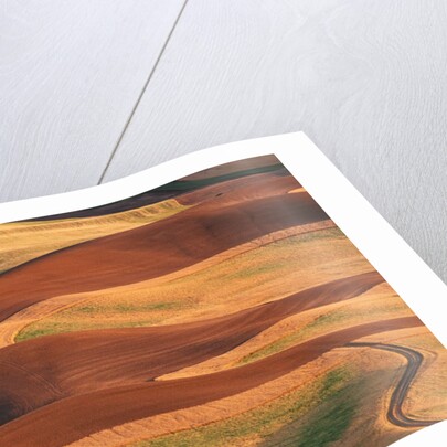 Fields in the Palouse by Corbis