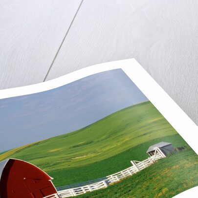 Red Barn and White Fence Near Pullman by Anonymous