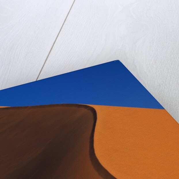 Tree and Sand Dune by Anonymous