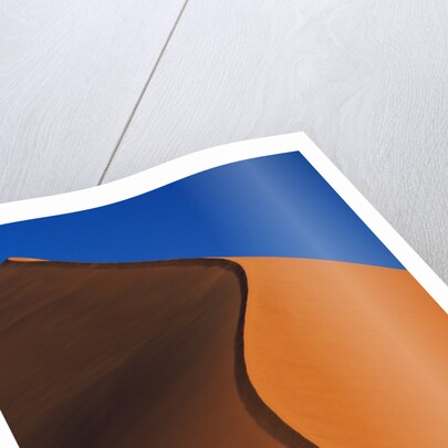 Tree and Sand Dune by Anonymous