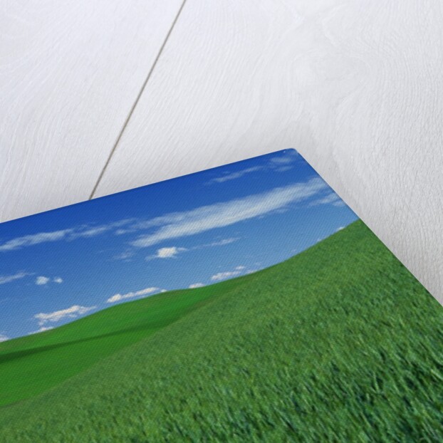 Red Barn in a Wheat Field by Anonymous