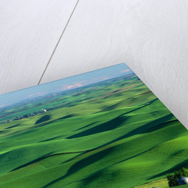 Palouse Hills by Anonymous