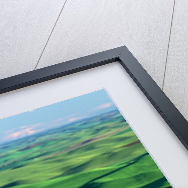 Palouse Hills by Anonymous