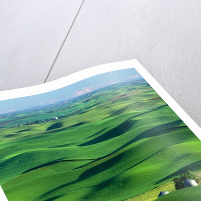 Palouse Hills by Anonymous