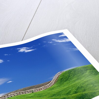 Wheat Field and Fence by Anonymous
