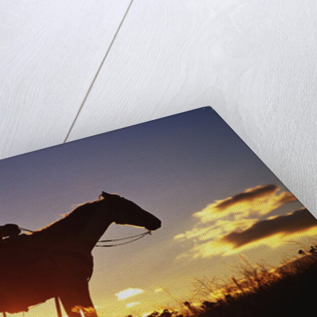 Cowboy Silhouetted at Sunset by Anonymous