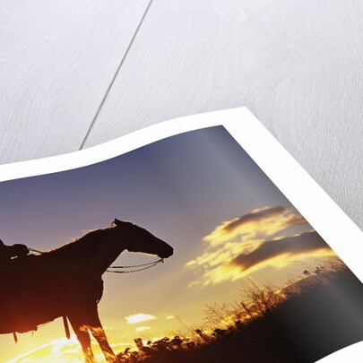 Cowboy Silhouetted at Sunset by Anonymous