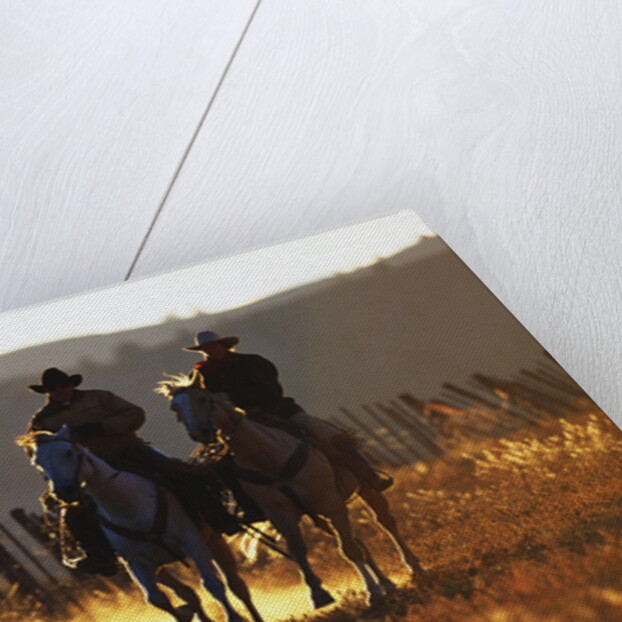 Cowboys on Galloping Horses by Anonymous