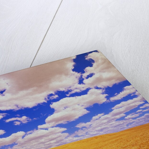 White Clouds Over Wheat Field by Anonymous