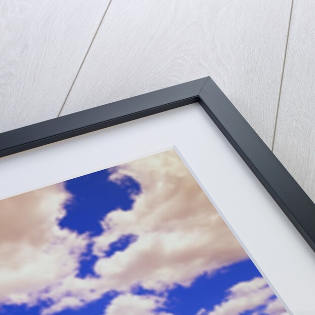 White Clouds Over Wheat Field by Anonymous