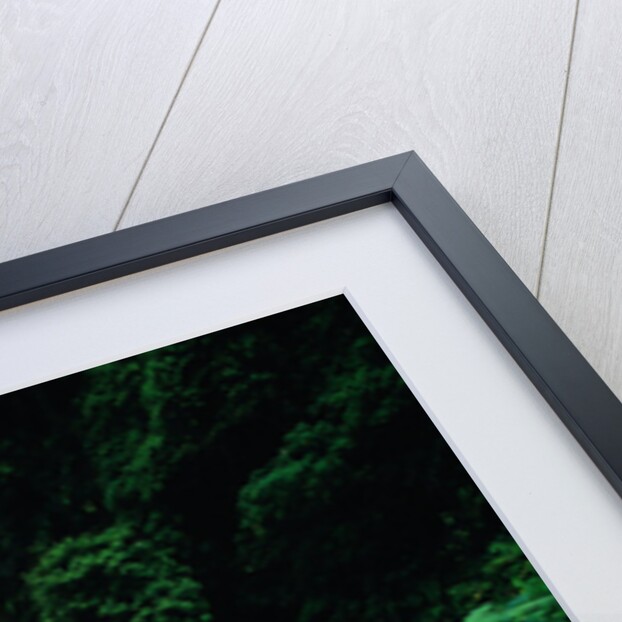 La Paz Waterfall and Blooming Impatiens by Anonymous