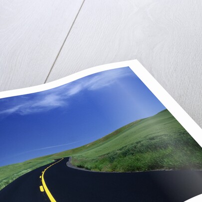 Freshly Paved Highway by Anonymous