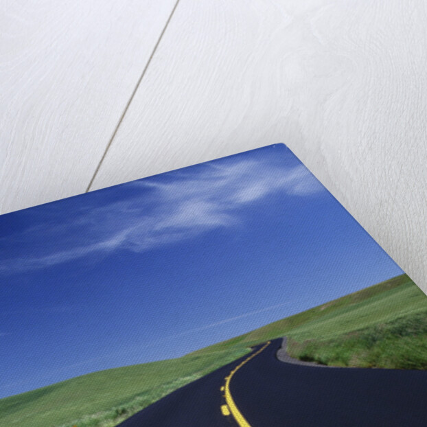 Freshly Paved Highway by Anonymous