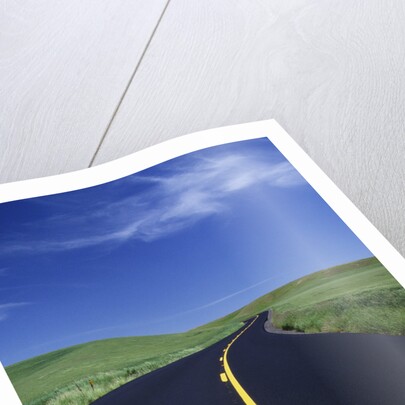 Freshly Paved Highway by Anonymous