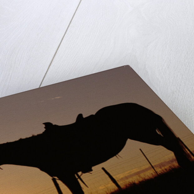 Cowboy Standing with His Horse by Anonymous