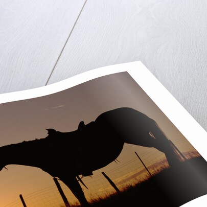 Cowboy Standing with His Horse by Anonymous