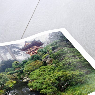 Japanese Garden by Anonymous