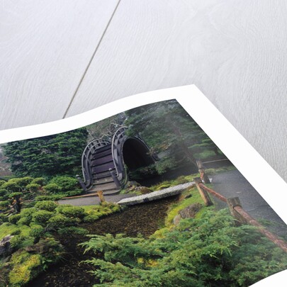 Japanese Garden by Anonymous